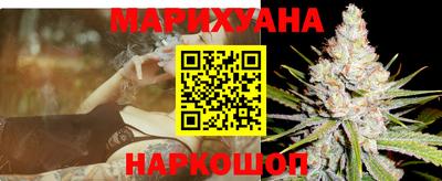 крисы Новокубанск