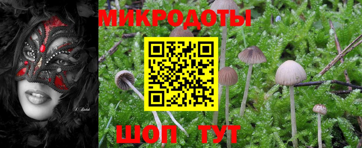 Псилоцибиновые грибы Psilocybe  Галлюциногенные грибы прущие грибы  Вход с VPN  Трёхгорный 